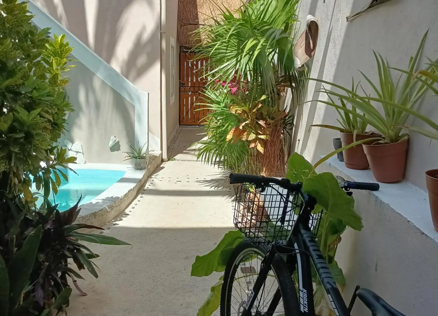 Kika Studios Playa del Carmen México