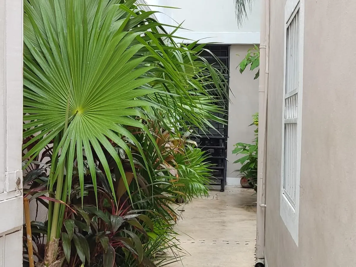 Kika Studios Playa del Carmen Pensión