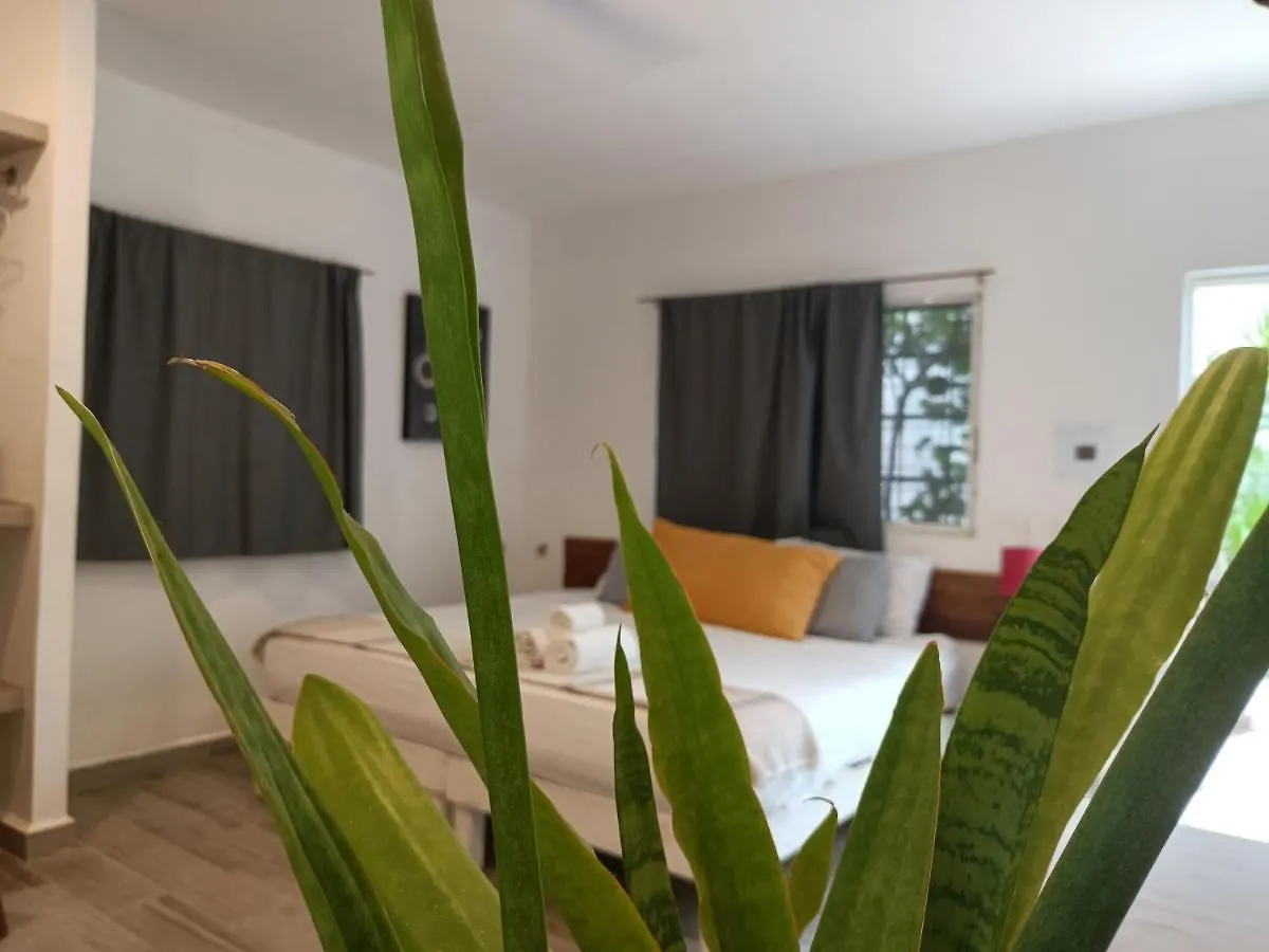 Kika Studios Playa del Carmen