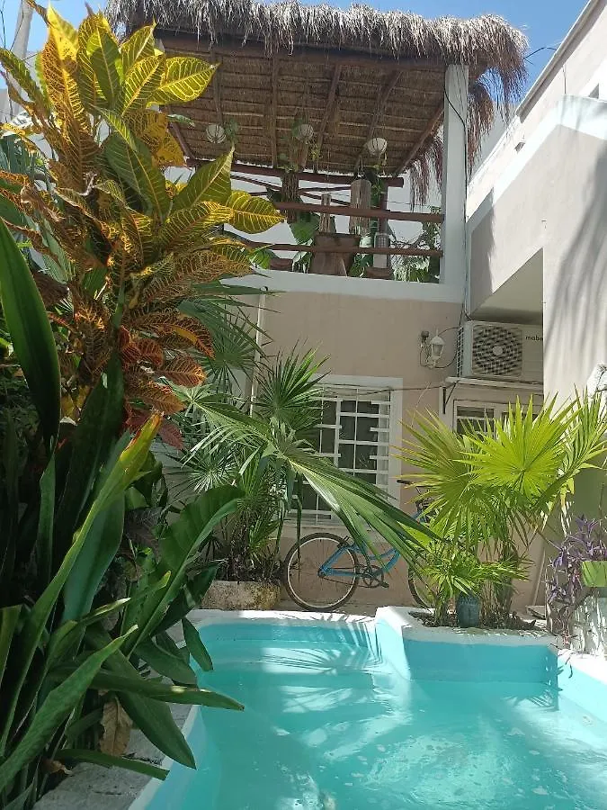 Kika Studios Playa del Carmen 3*,  México