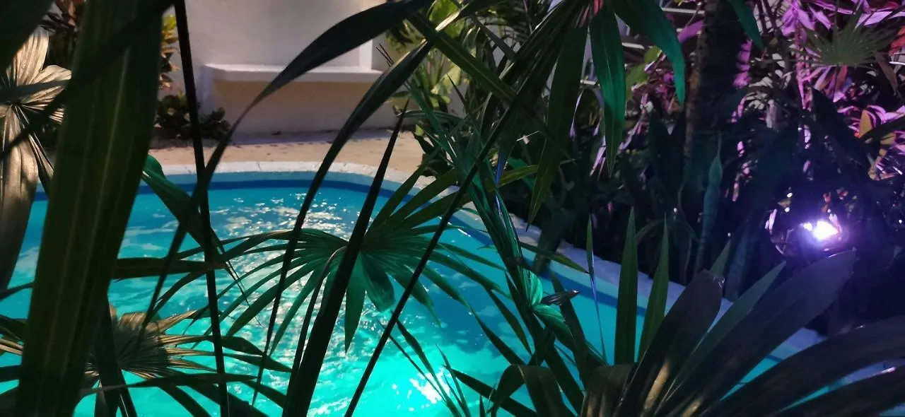 Kika Studios Playa del Carmen