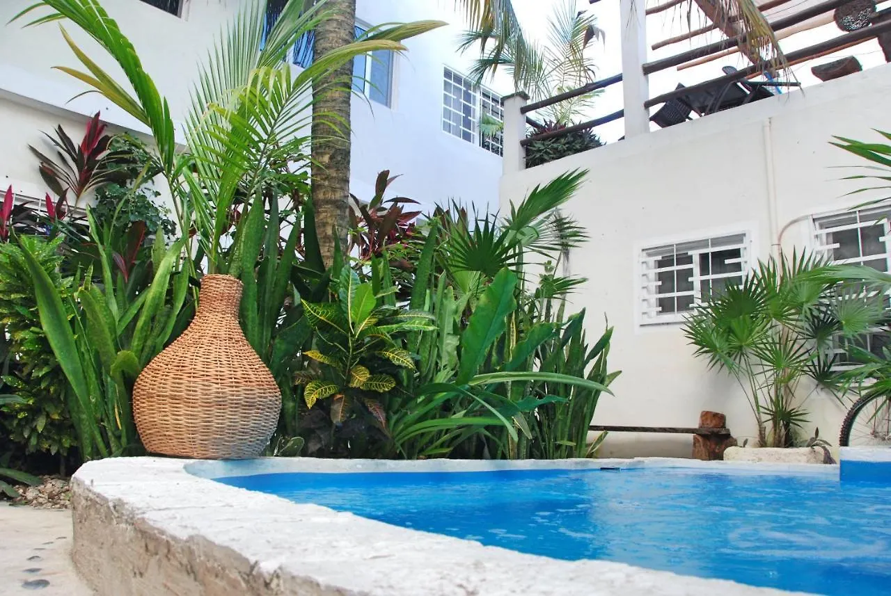 Pensión Kika Studios Playa del Carmen
